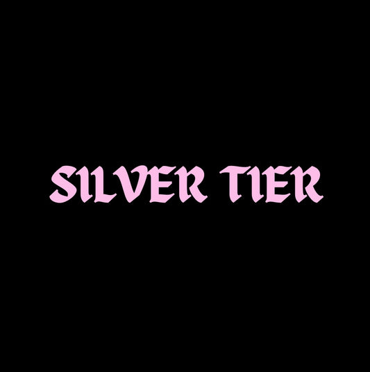 SILVER TIER